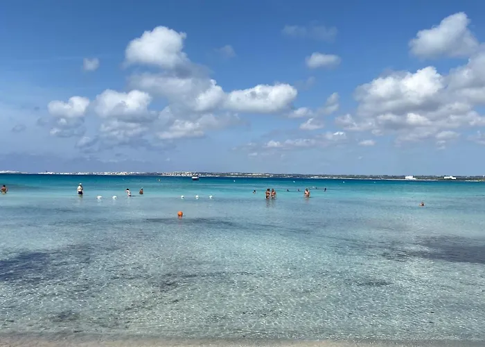 Ampelea Soft Di Paf * Gallipoli