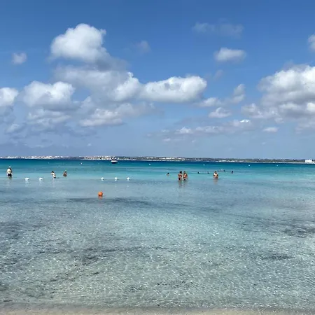 Ampelea Soft Di Paf * Gallipoli